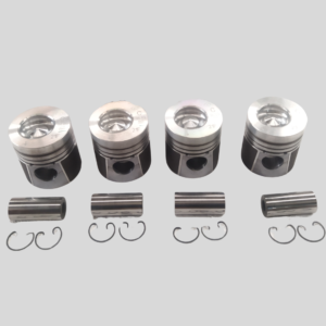 252703990132_BARE PISTON_TATA