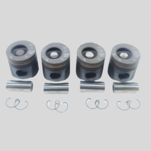 252703990169_BARE PISTON SET_TATA